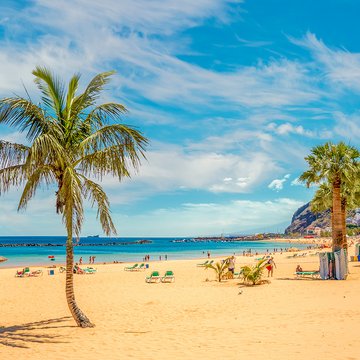 Das Bild zeigt einen Sandstrand auf Teneriffa mit Palmen, Meer und Sand.