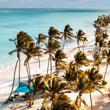 Blick von oben auf einen Palmenstrand auf der Dominikanischen Republik